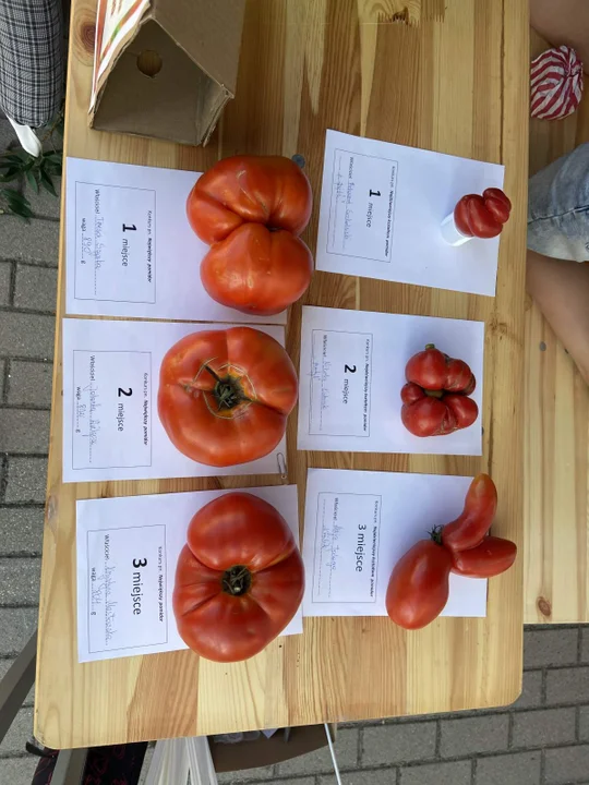 Święto Pomidora Kotlin 2022