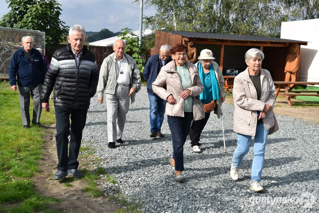 Młodzieżowa Rada Miejska w Gostyniu dla seniorów z Domu Dziennego Senior +