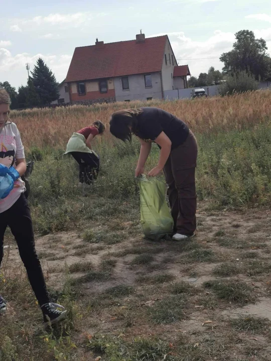 Sprzątanie Świata w Kobylinie