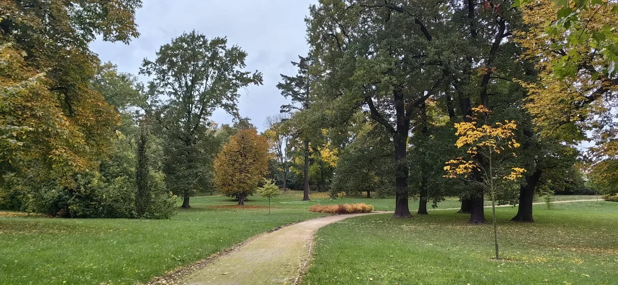 Park w Klęce to prawdziwa perełka. Warto zajrzeć tam właśnie teraz