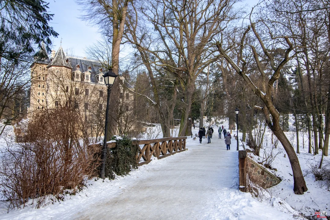 Gołuchowski park i zamek w zimowej odsłonie. O tej porze roku nabierają szczególnego uroku - Zdjęcie główne