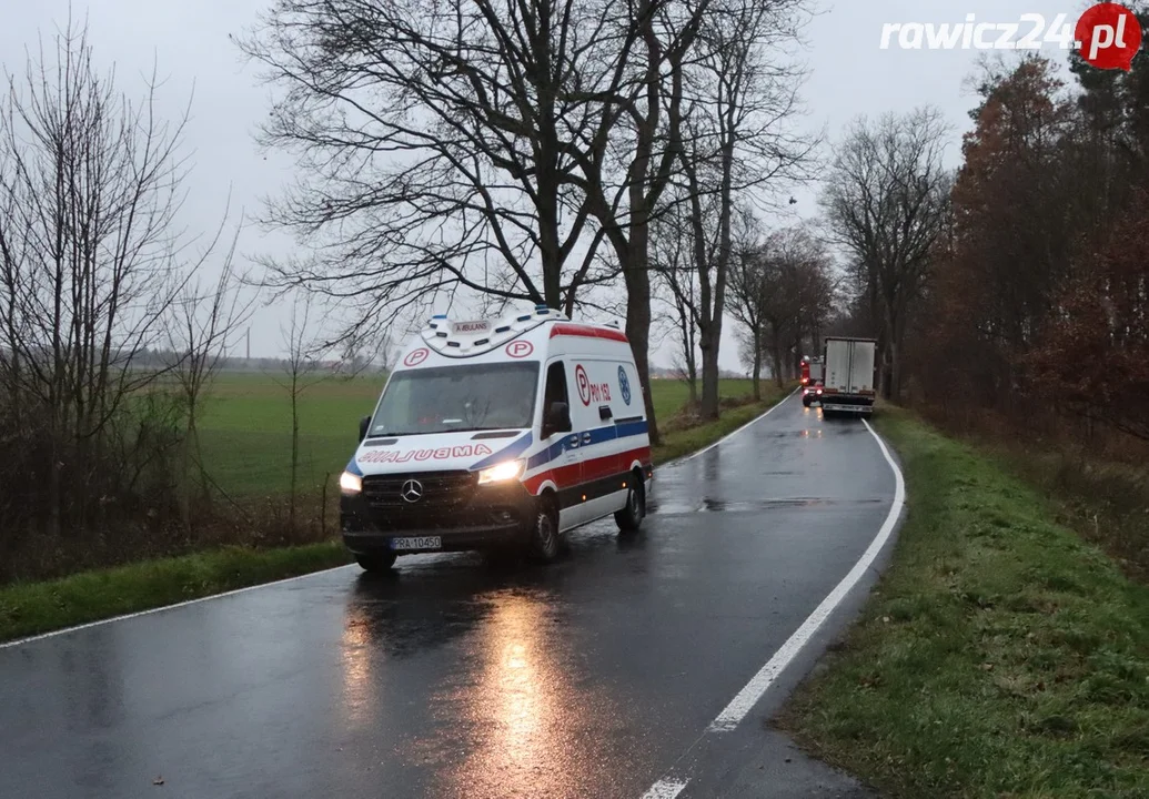 Autem uderzył w drzewo na trasie Zaborowice - Borszyn Wielki