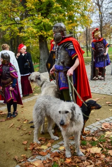 11 listopada w Jarocinie. Inscenizacja legendy o św. Marcinie