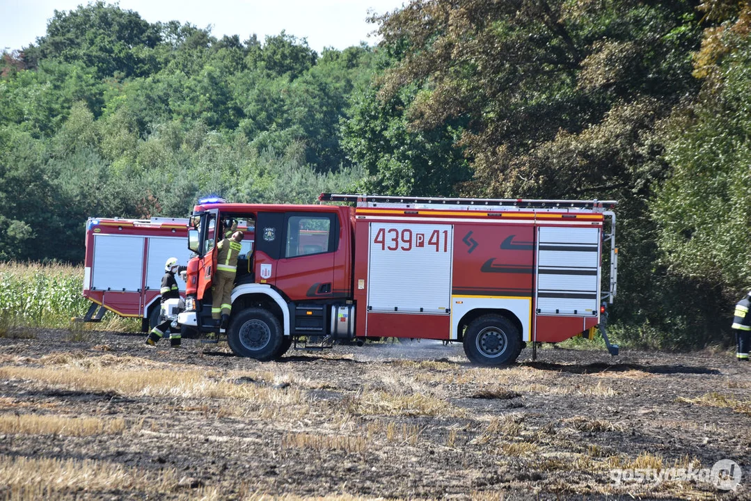 Pożar zboża w Osowie (gm. Gostyń)