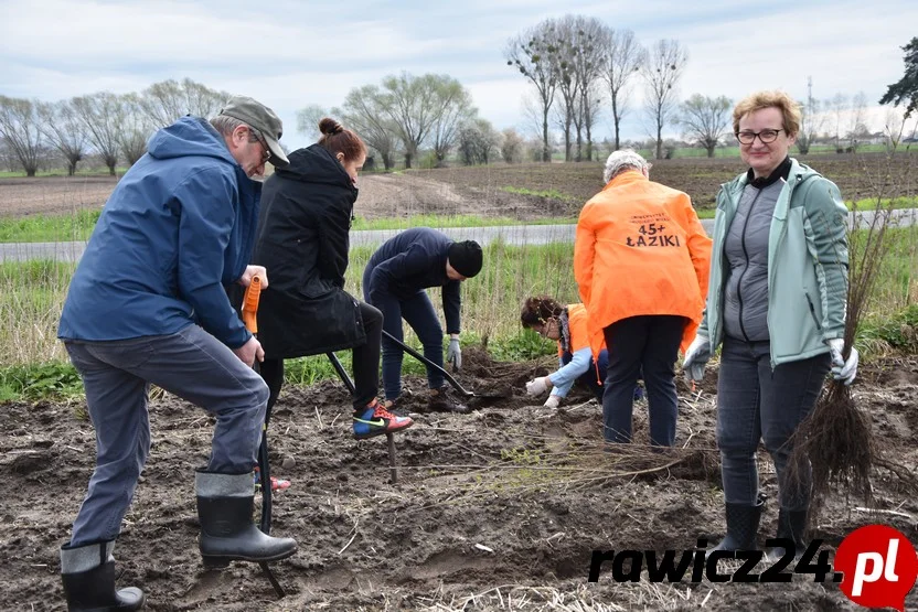 Miejskogóreccy studenci kolejny raz sadzili las - Zdjęcie główne