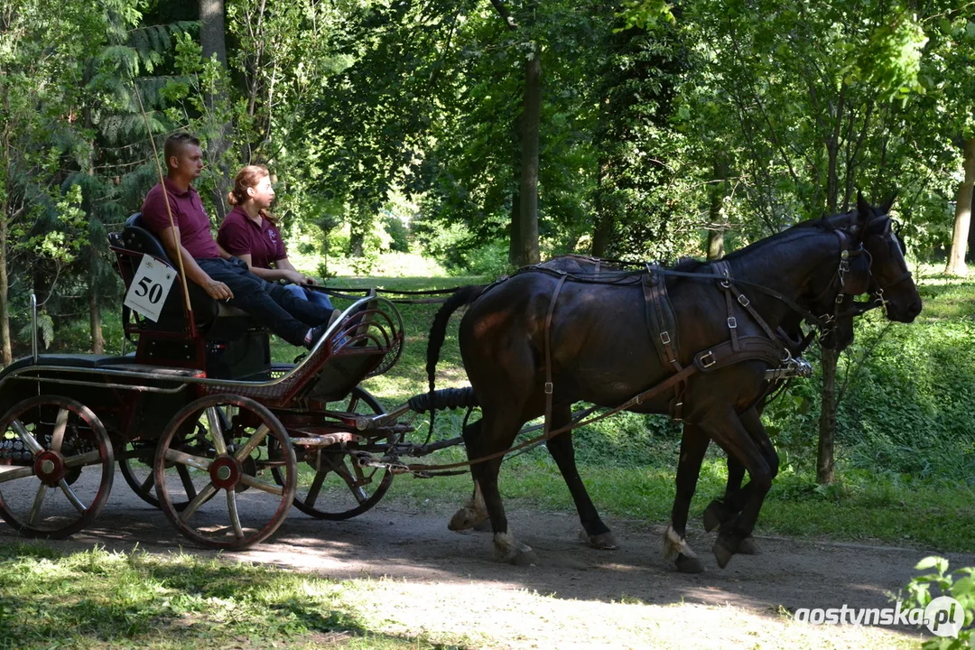 Rokosowo Horse Show 20224 - Konie i Powozy na Zamku Wielkopolskim w Rokosowie