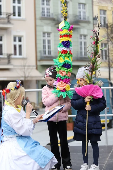 Najdłuższe palmy miały ponad 3 metry