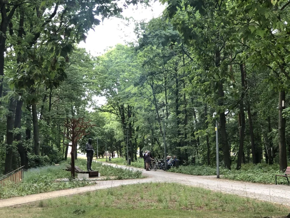 Park przy ulicy Szubianki