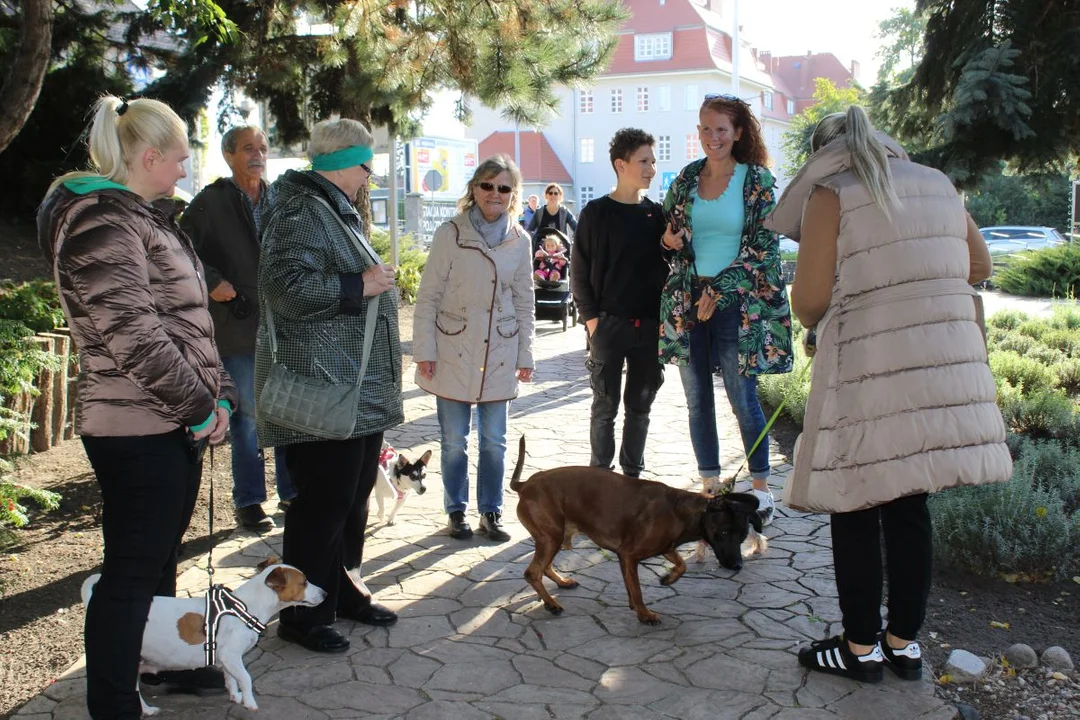 Odpust u franciszkanów w Jarocinie. Po raz pierwszy z błogosławieństwem zwierząt [ZDJĘCIA] - Zdjęcie główne