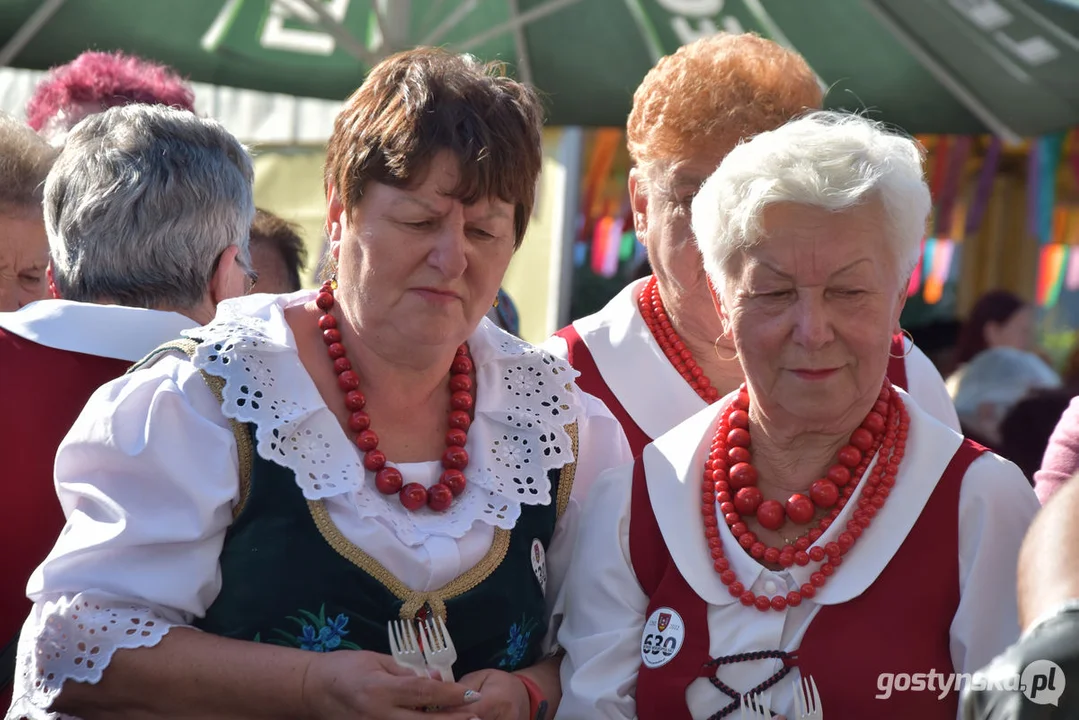 Jubileuszowy Przegląd Zespołów Ludowych w Borku Wlkp. wraz z wystawą samochodów retro 2022