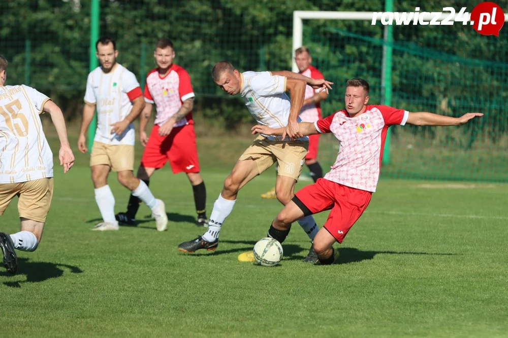 Awdaniec Pakosław - Wisła Borek Wielkopolski 2:5