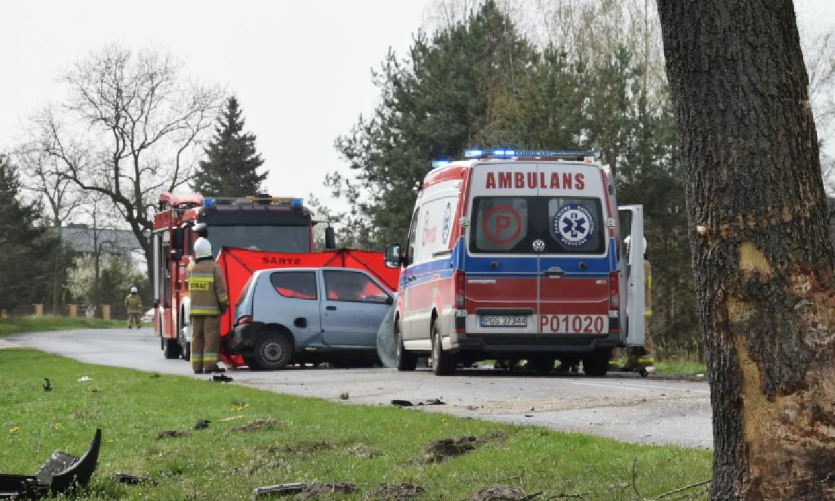 43-latka uderzyła autem w drzewo na trasie Gostyń - Poniec. Kobieta zginęła na miejscu - Zdjęcie główne