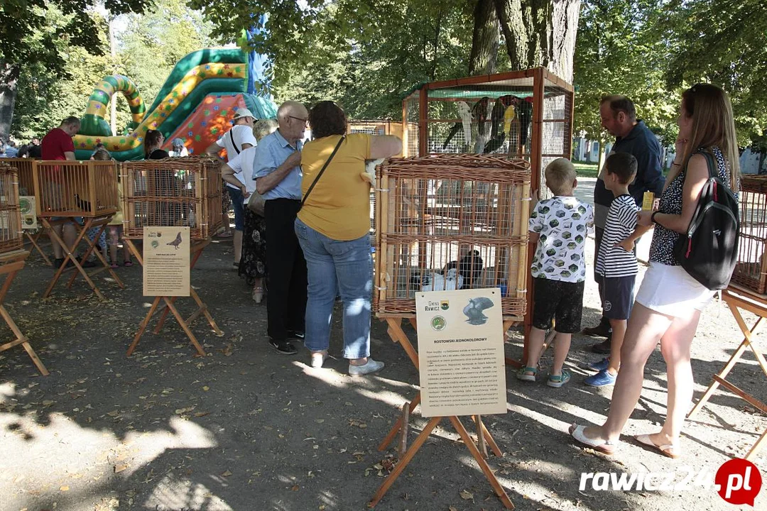 Witaj Szkoło! Bezpieczna Pyrka na Wesoło