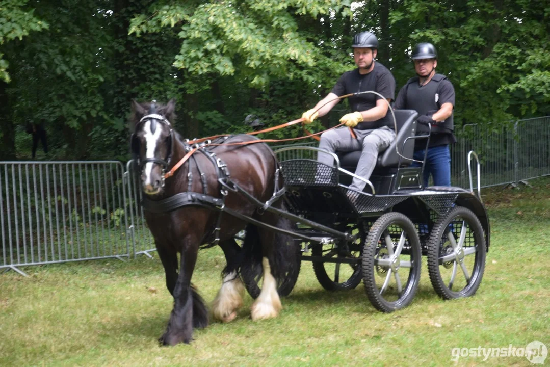 Rokosowo Horse Show 2024 - dzień pierwszy