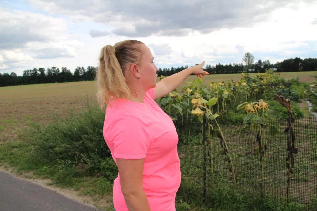 CPK w gminie Jaraczewo. Mogą wyburzyć kilka domów w Zalesiu