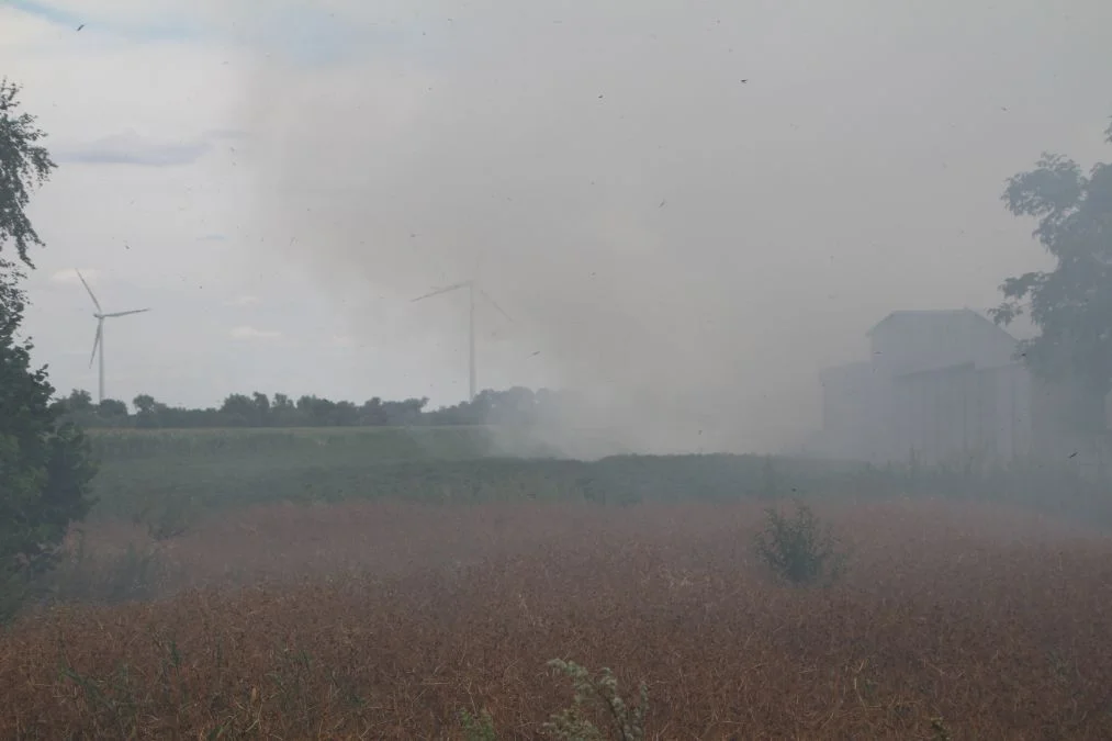 Pożar w Żernikach. Dym widać z kilkunastu kilometrów