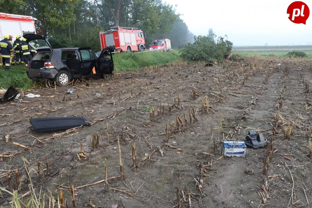 Uderzył w drzewo na trasie Annopol - Jagodnia