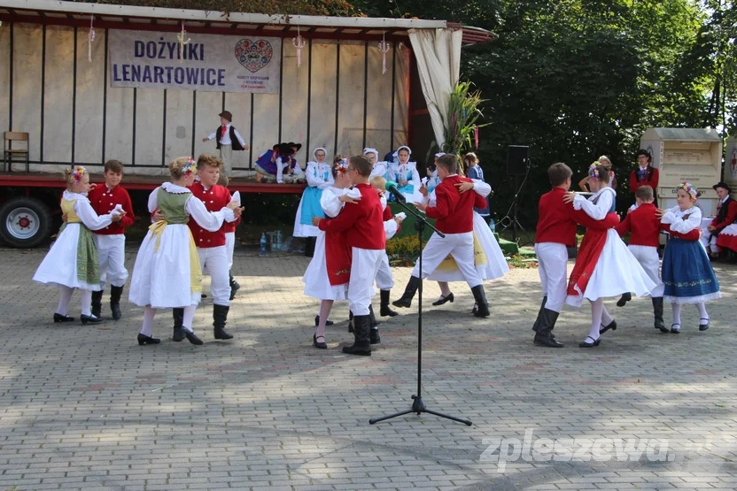 Kolorowe dożynki w Lenartowicach