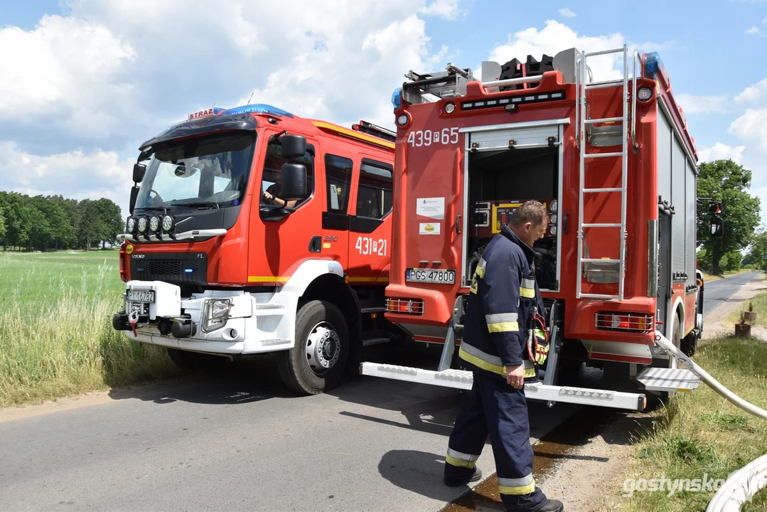 Pożar lasu na granicy powiatu gostyńskiego