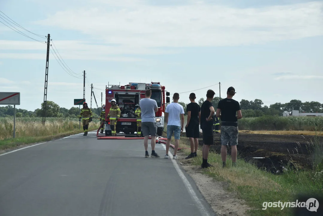 Pożar ścierniska w Daleszynie