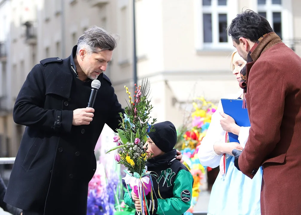 Najdłuższe palmy miały ponad 3 metry