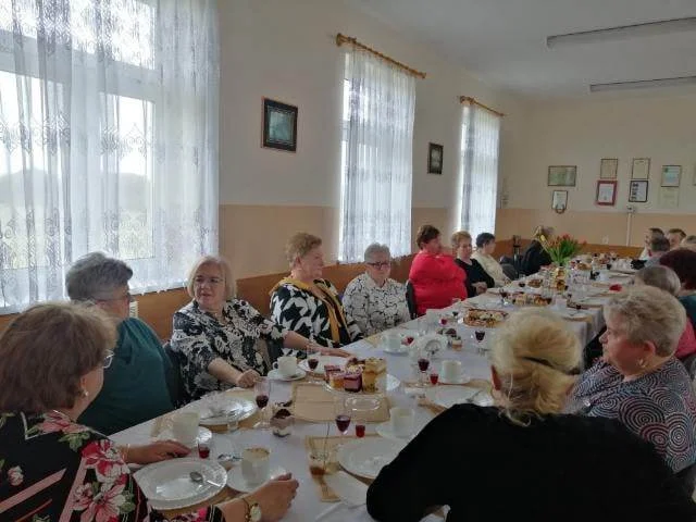 Dzień Kobiet w Pleszówce. To było bardzo miłe spotkanie [ZDJĘCIA] - Zdjęcie główne