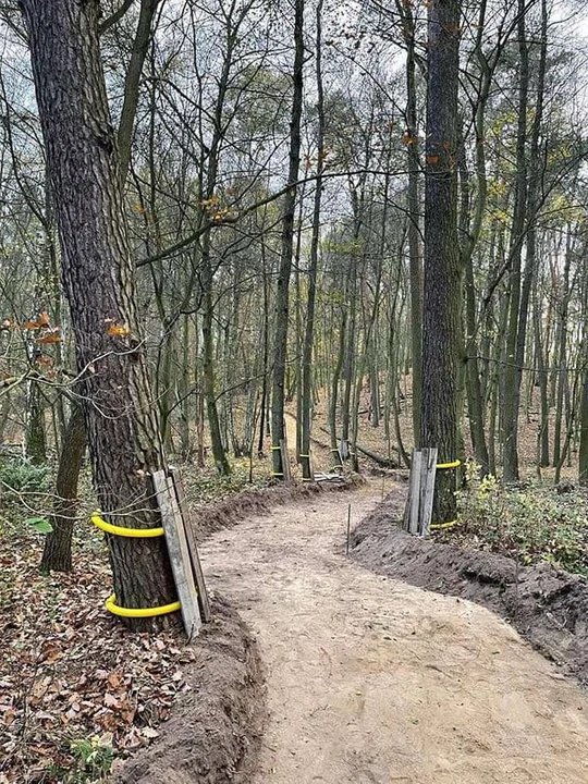 Spotkanie w młynie nad Lutynią