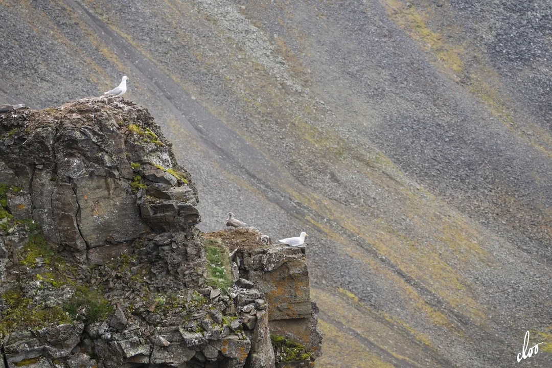 Wyprawa pleszewian na Spitsbergen