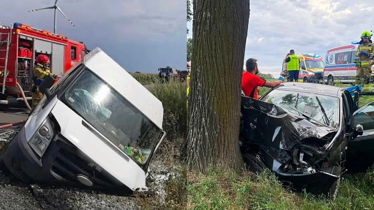 Bus wpadł do rowu, osobówka uderzyła w drzewo