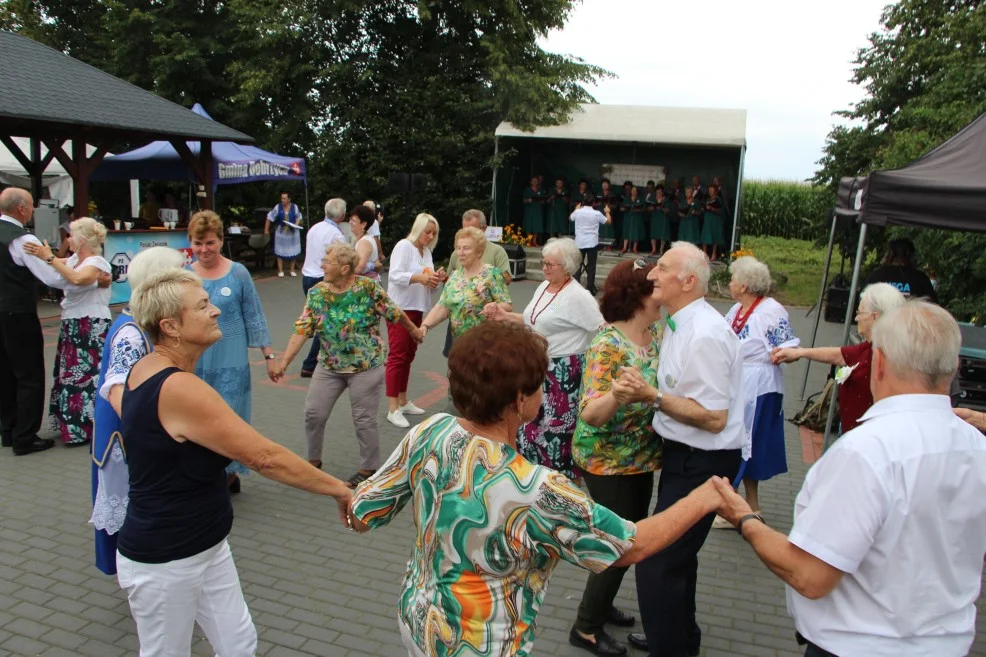 IX Biesiada Seniorów w Strzyżewie. "Choć jestem seniorem, to żyję z humorem" - Zdjęcie główne