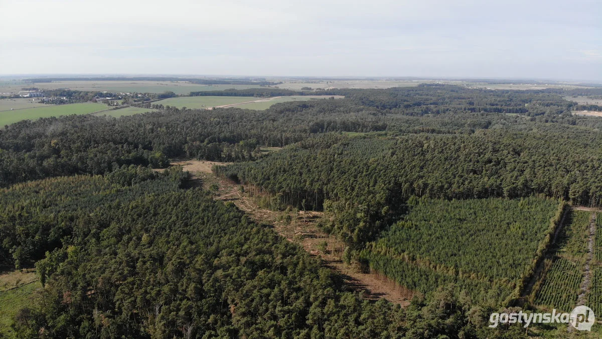 Trwają prace przy obwodnicy DK12 dla Gostynia. Co się dzieje na placu budowy?