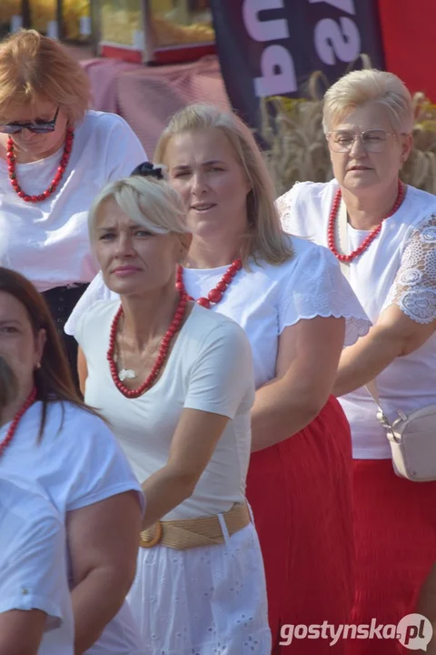 Dożynki wiejsko-parafialne w Pudliszkach 2025