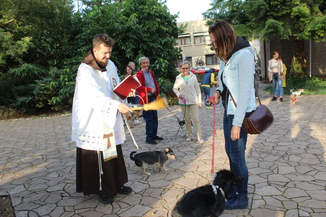 U franciszkanów w Jarocinie z okazji odpustu błogosławiono zwierzęta