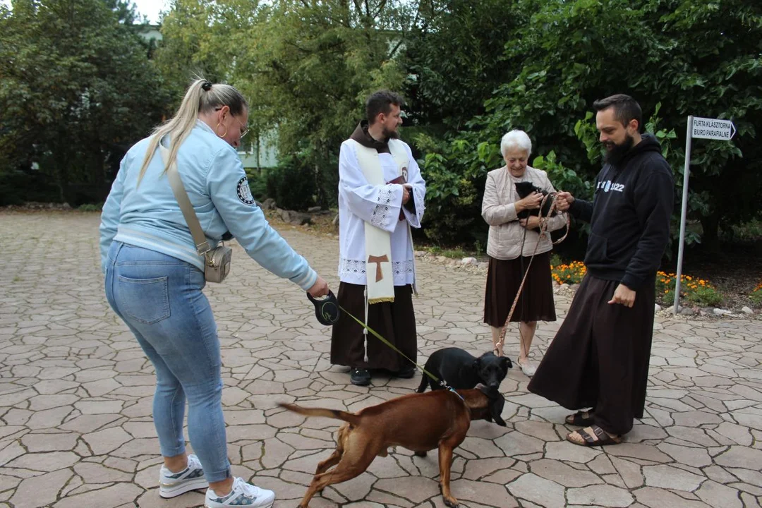 U franciszkanów w Jarocinie z okazji odpustu błogosławiono zwierzęta