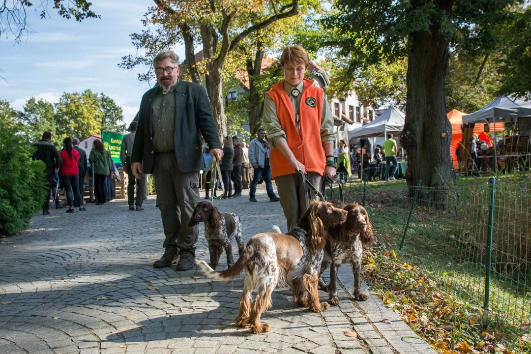 Festiwal Kultury Łowieckiej w 2022 roku odbędzie się w Jarocinie, zamiast w Tarcach