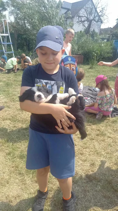 Krotoszyn. Letnie Półkolonie z Wodnikiem