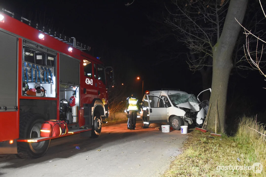 Czołówka z drzewem. Wypadek w Grodzisku (gm. Poniec)