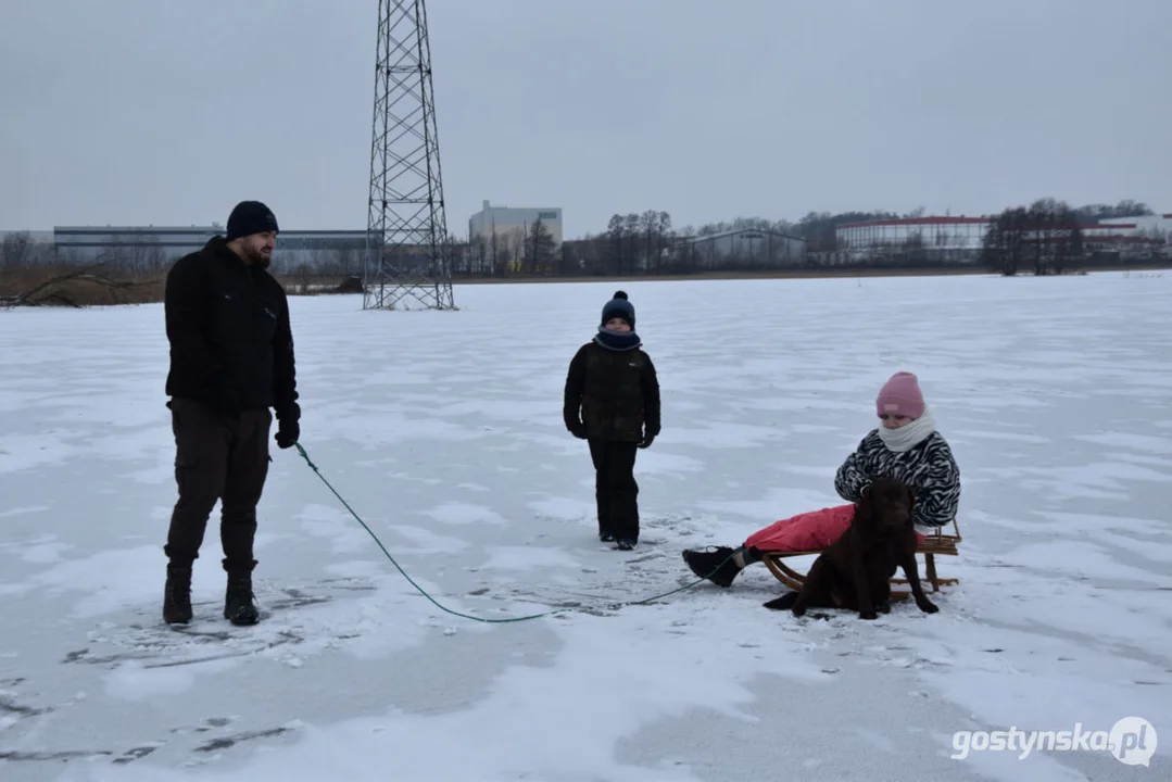 Lodowisko z rozlewiska pod Gostyniem