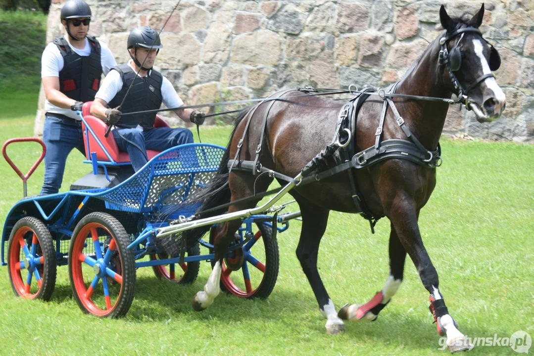 Rokosowo Horse Show 2024 - dzień pierwszy