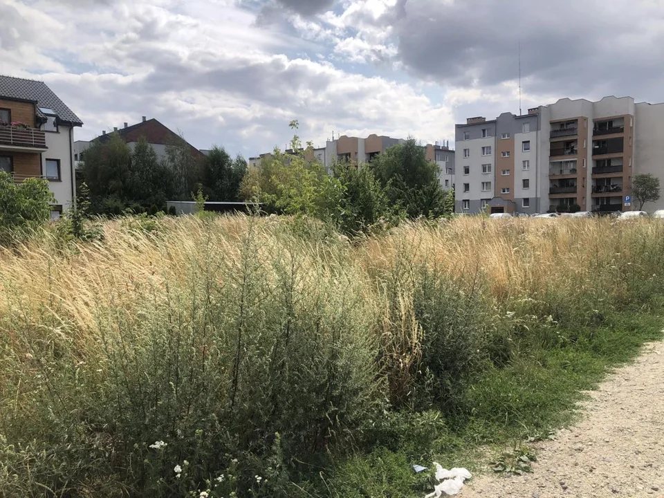 W Jarocinie powstanie wybieg dla psów. Nawet dwa na jednym osiedlu