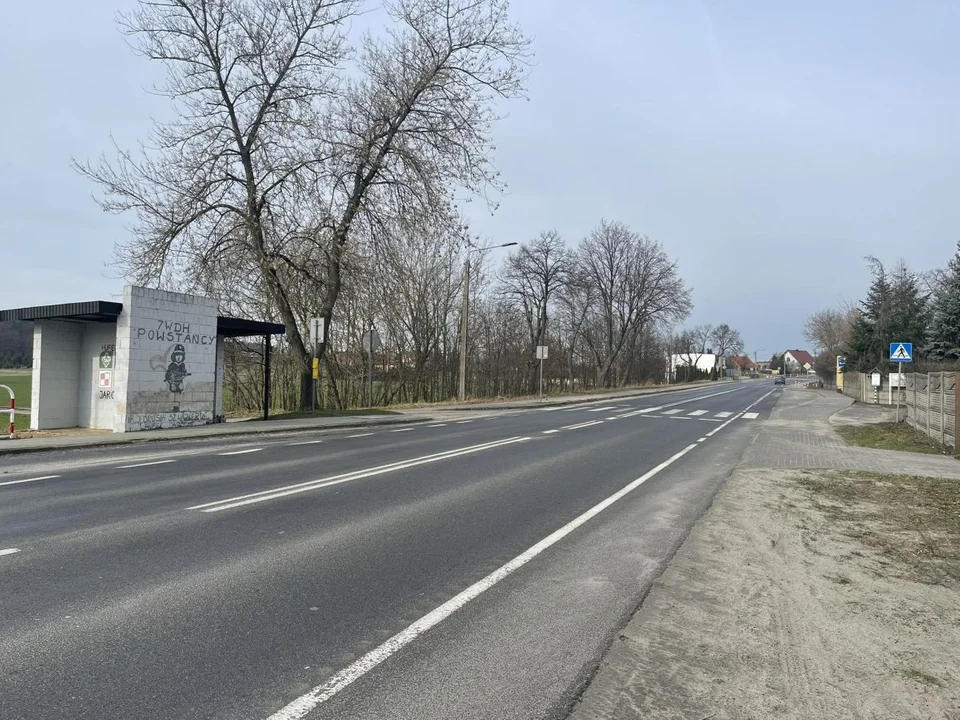 Przejścia dla pieszych na ul. Poznańskiej w Cielczy