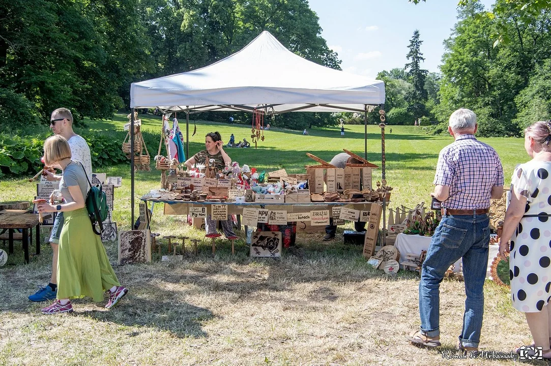 Festiwal Lasu 2022 był bardzo udaną imprezą