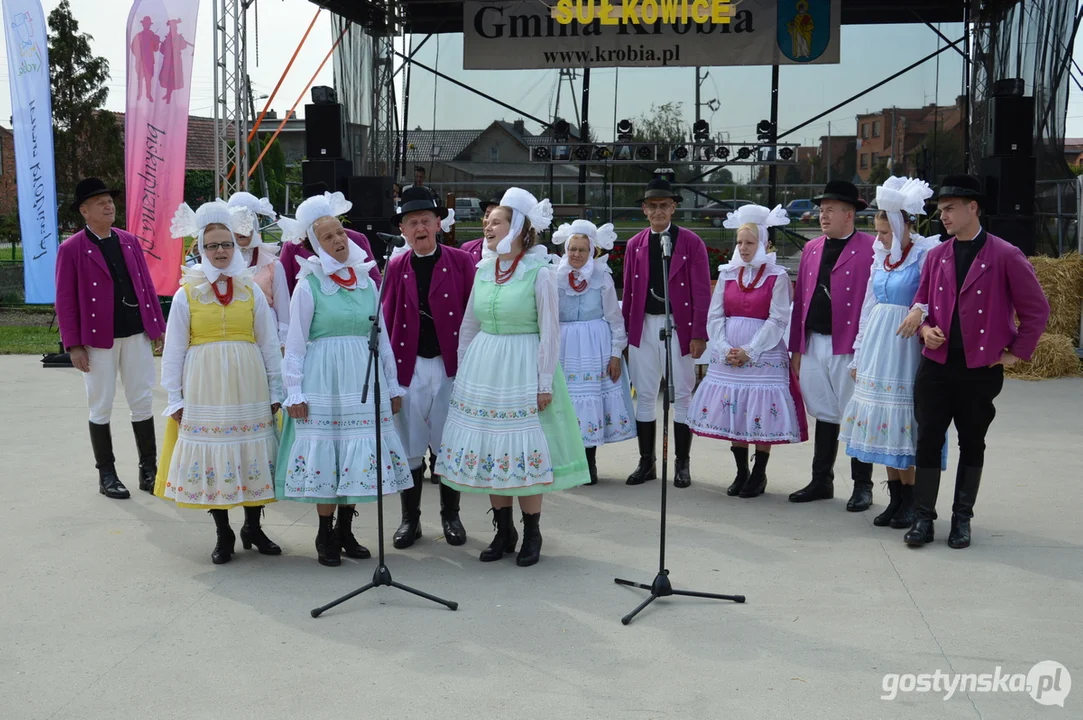 Zapowiedź dożynek gminnych w Pudliszkach