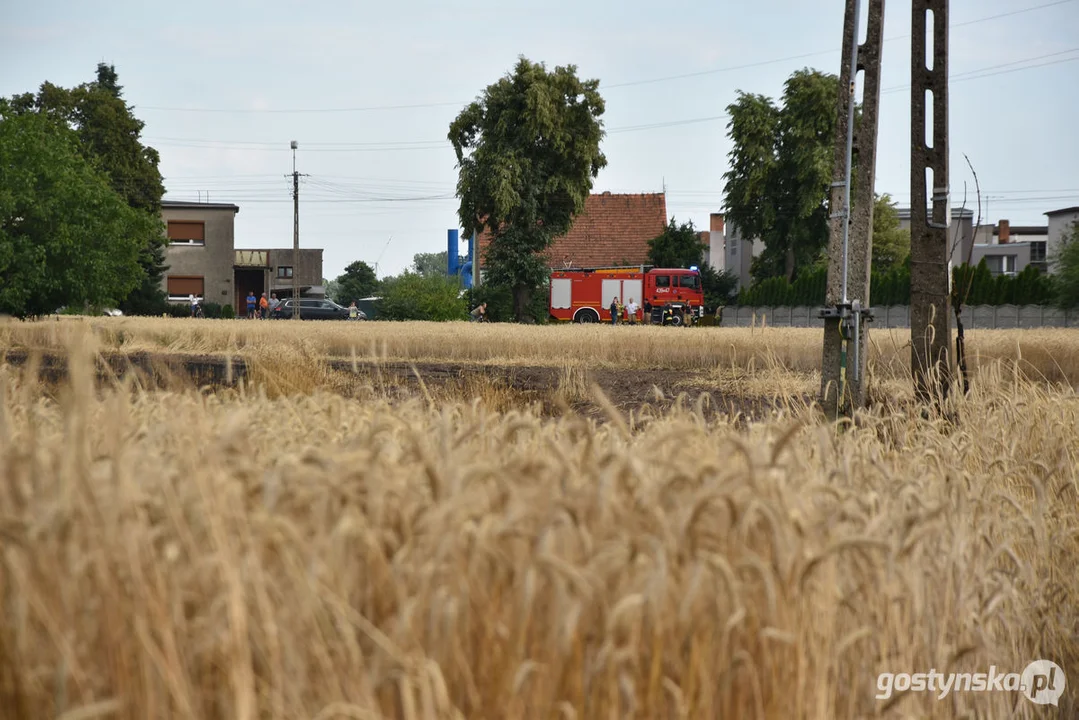 Pożar zboża w Poniecu i Kuczynie