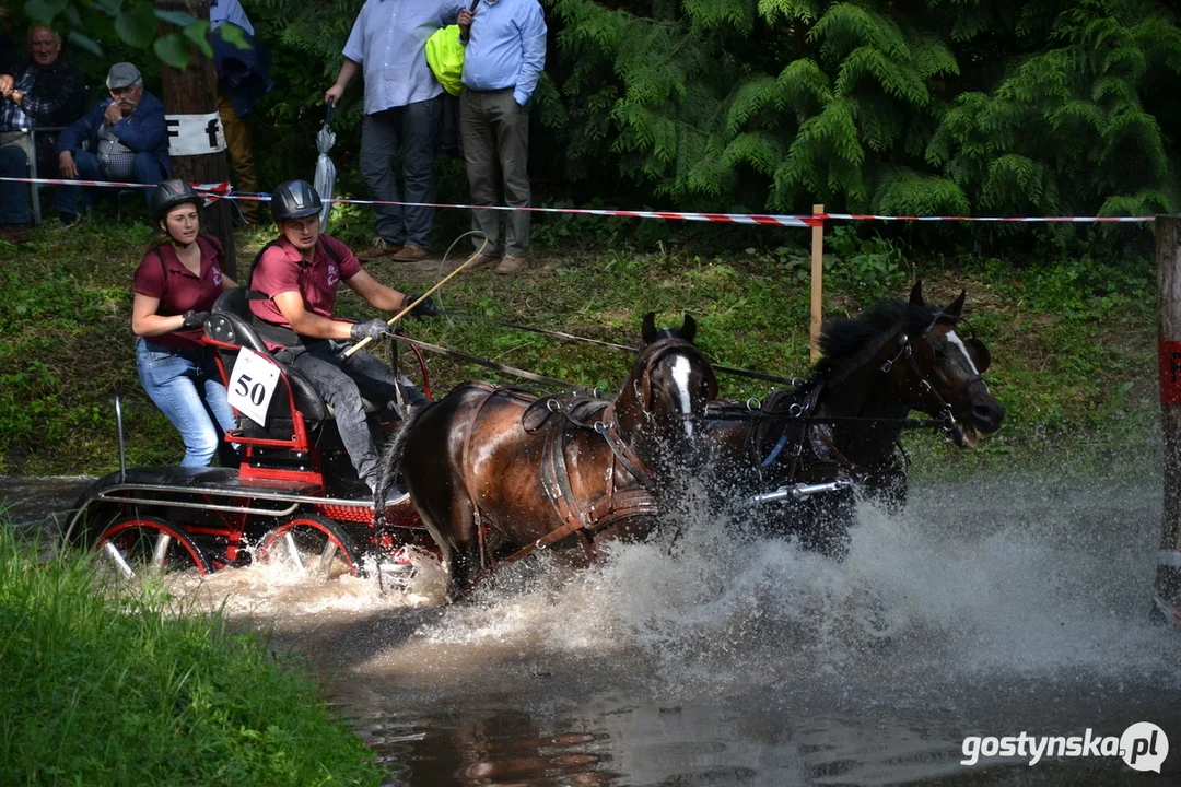 Rokosowo Horse Show 20224 - Konie i Powozy na Zamku Wielkopolskim w Rokosowie