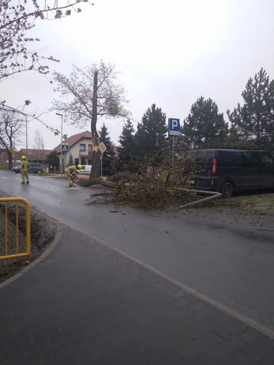 Silny wiatr spowodował szkody w powiecie gostyńskim