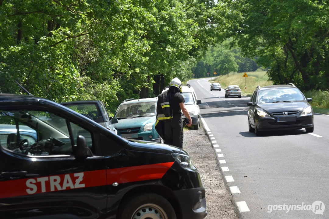 Pożar lasu na granicy powiatu gostyńskiego