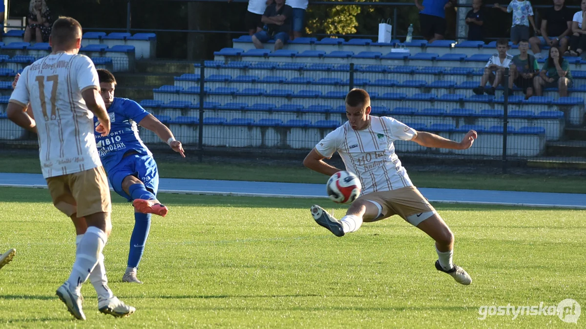 Kania Gostyń - Wisła Borek Wielkopolski 3 : 0