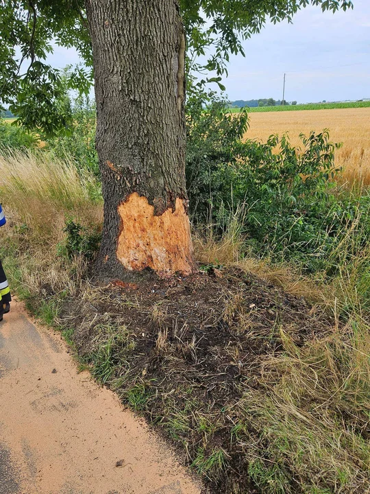 Mieszkanka pow. gostyńskiego uderzyła w drzewo w gm. Kobylin