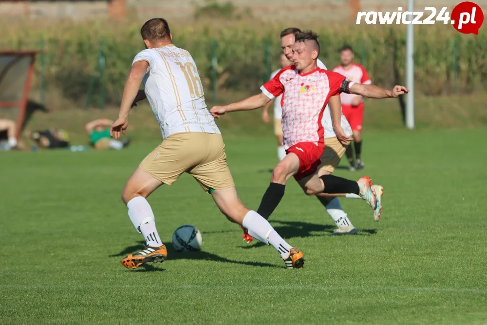 Awdaniec Pakosław - Wisła Borek Wielkopolski 2:5